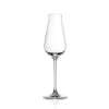 Tulip Champagne Glass Stemware 210ml