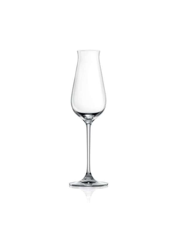 Tulip Champagne Glass Stemware 210ml